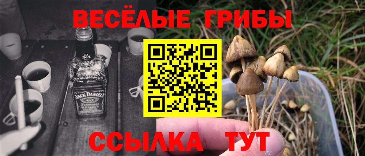 Галлюциногенные грибы прущие грибы  Вход с VPN  Михайловск 