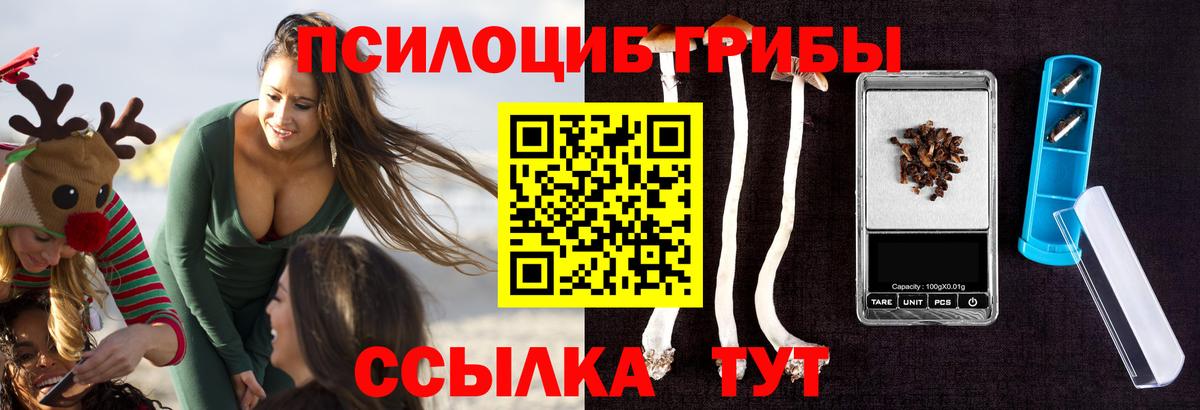 Галлюциногенные грибы прущие грибы Михайловск
